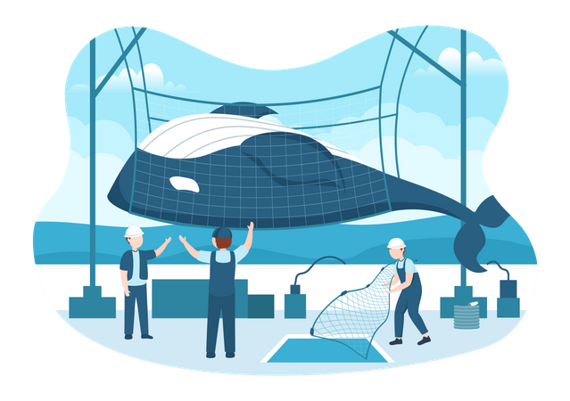 Whale Hunting by fisherman Illustration