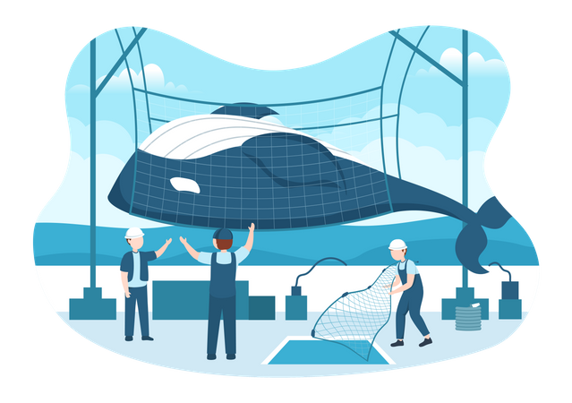 Whale Hunting by fisherman  Illustration