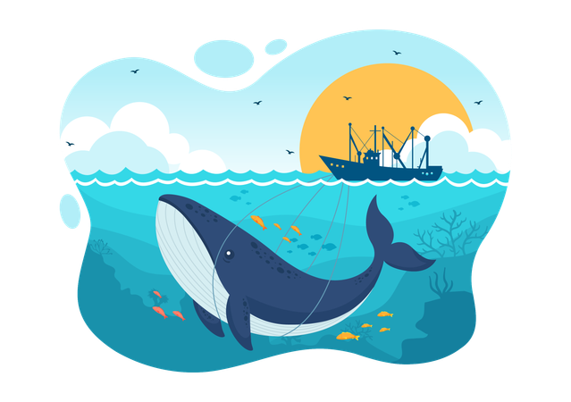 Whale Hunting  Illustration