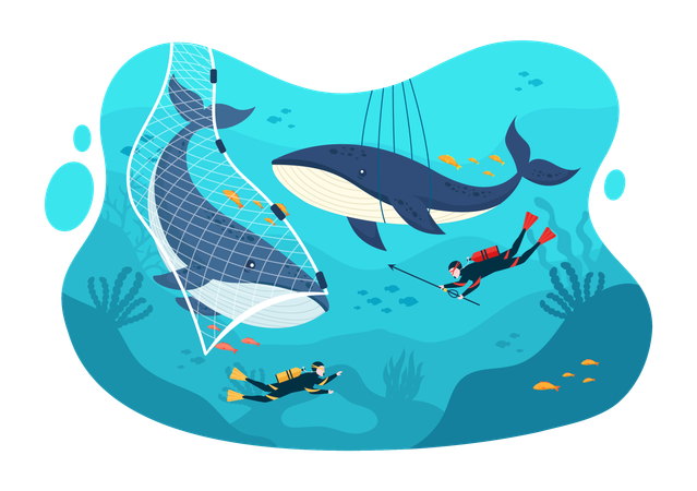 Whale Hunting  Illustration