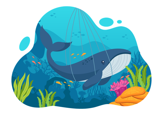 Whale Hunting  Illustration