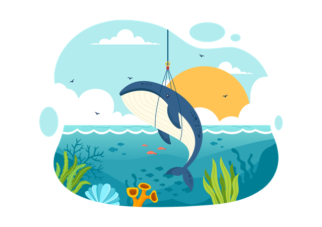 Whale Hunting  Illustration
