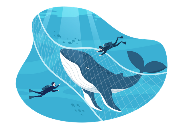 Whale Hunting in sea  Illustration