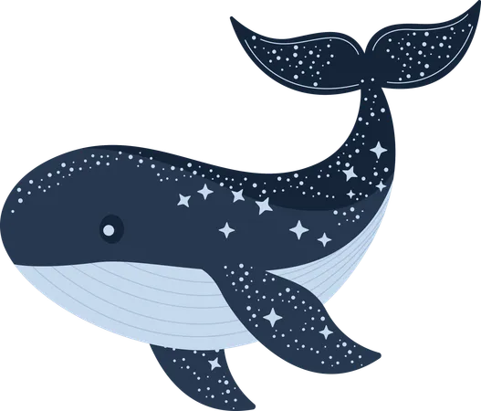 Whale  Illustration