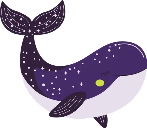 Whale  Illustration