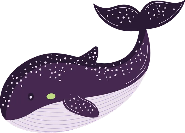 Whale  Illustration