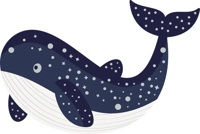 Whale  Illustration