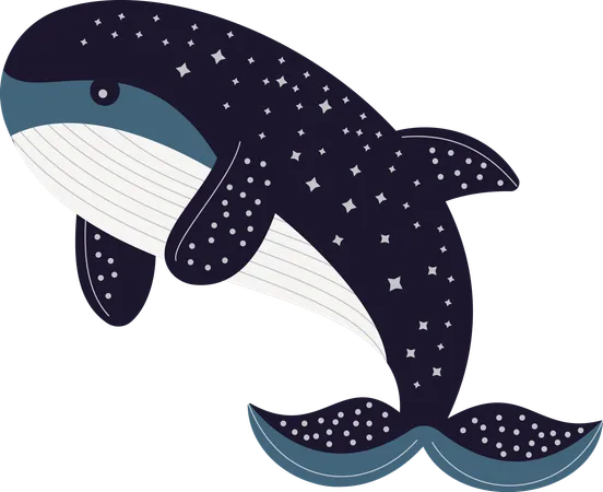 Whale  Illustration