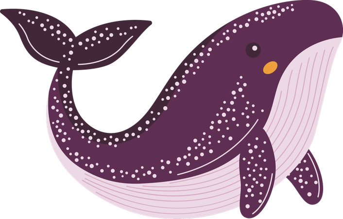 Whale  Illustration