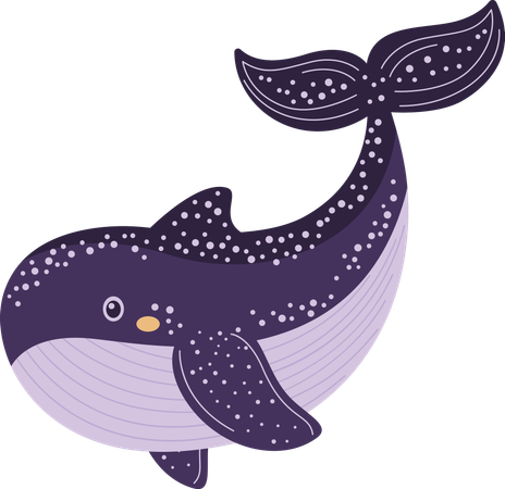 Whale  Illustration