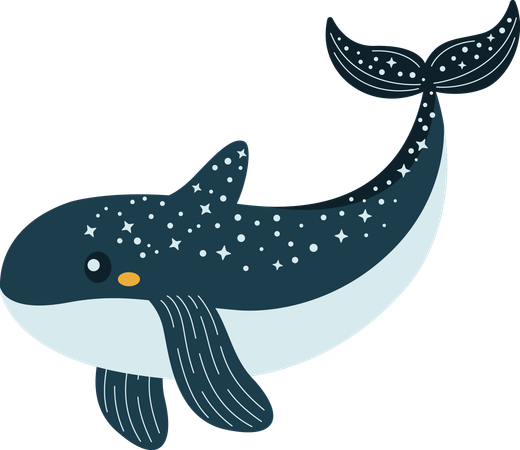 Whale  Illustration