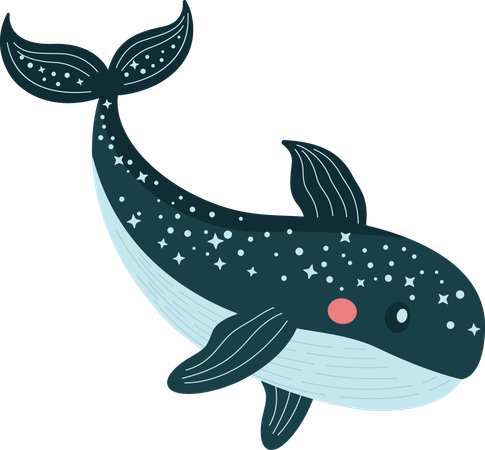 Whale  Illustration