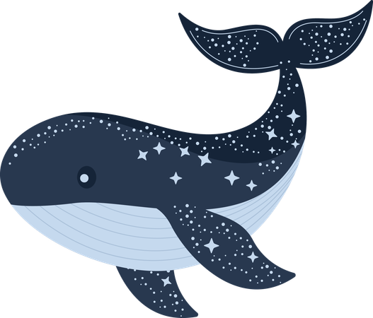 Whale  Illustration