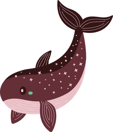 Whale  Illustration