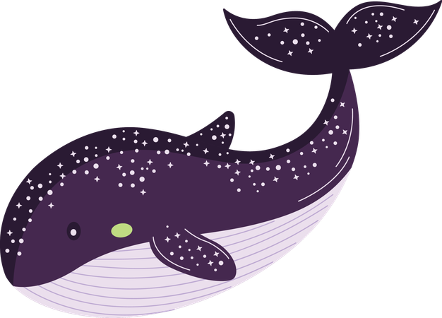 Whale  Illustration
