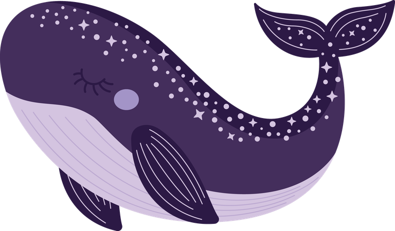 Whale  Illustration