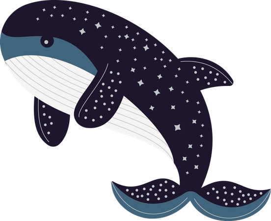 Whale  Illustration