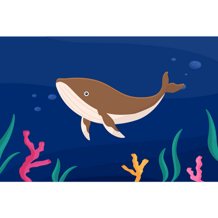 Whale in sea  Illustration