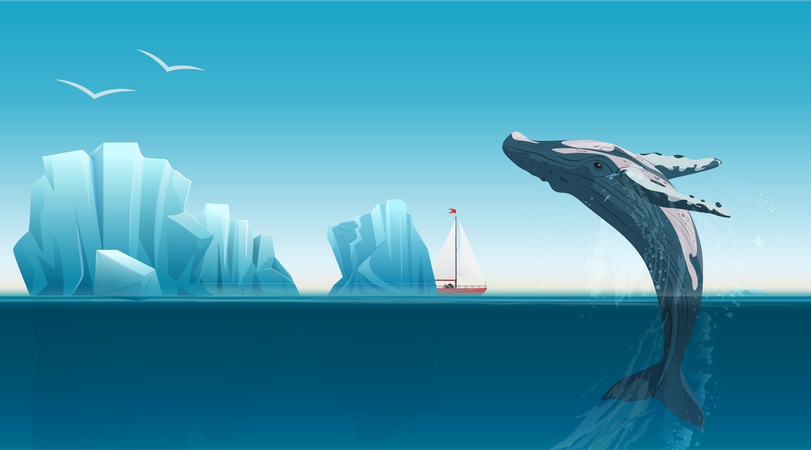 Whale jumping out of water in Antarctica Illustration