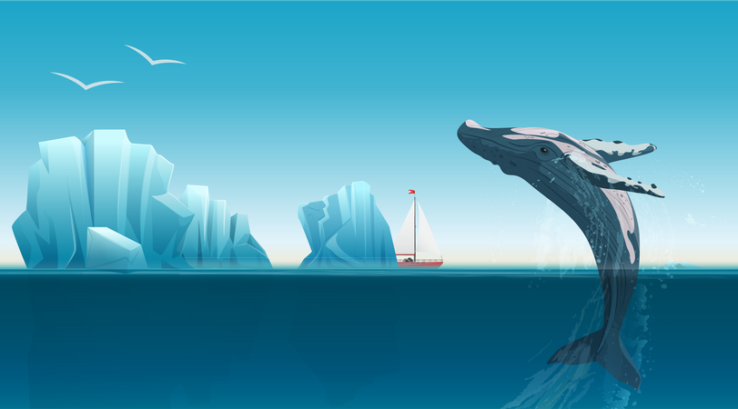 Whale jumping out of water in Antarctica  Illustration