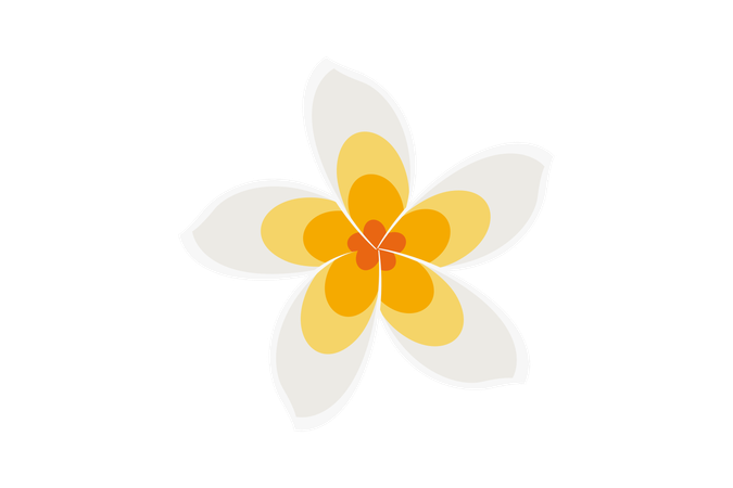 White Cambodian Flower  Illustration