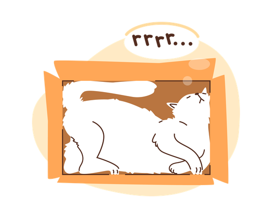 White cat in a box  Illustration