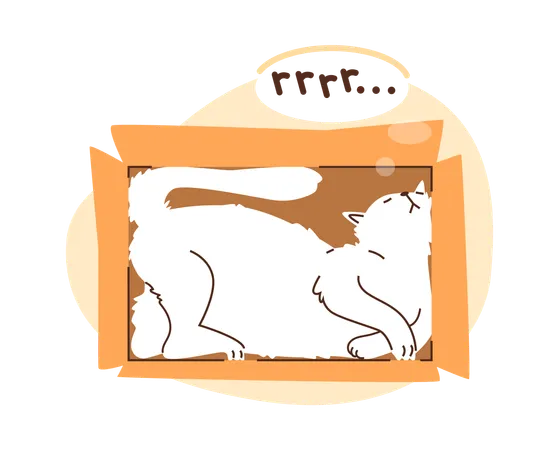 White cat in a box  Illustration