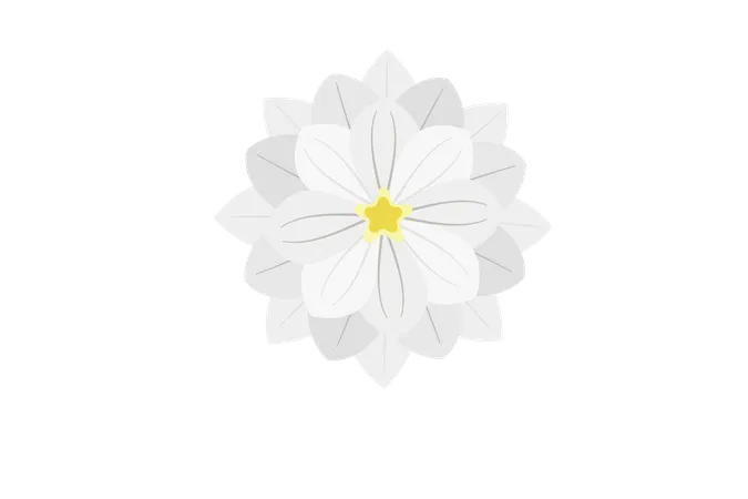 White Dahlia Flower  Illustration