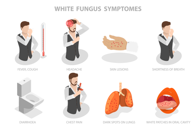 White Fungus, Disease Symptomes  Illustration