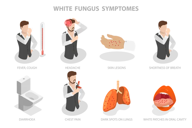 White Fungus, Disease Symptomes  Illustration