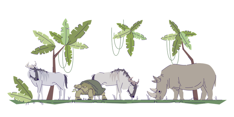 Wild Animals In their Natural Habitat  Illustration