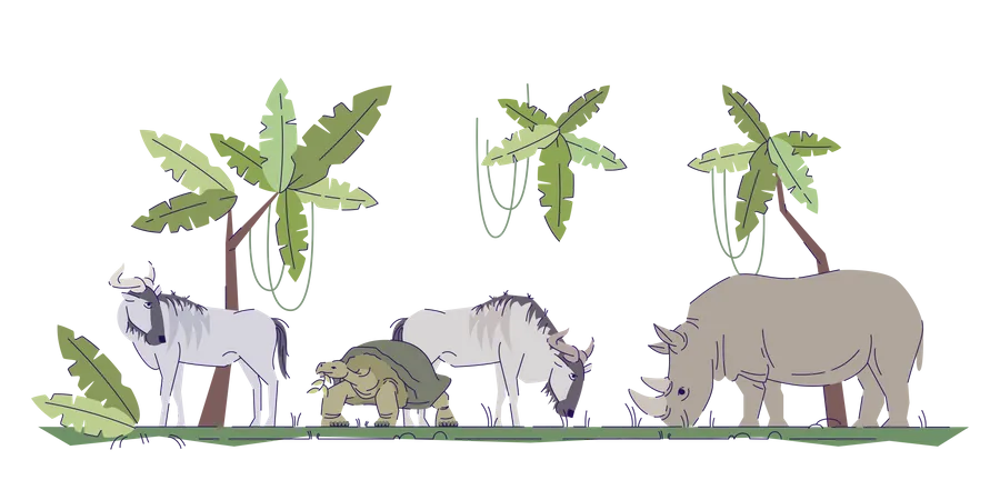 Wild Animals In their Natural Habitat  Illustration