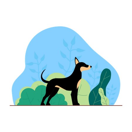 Wild Dog  Illustration