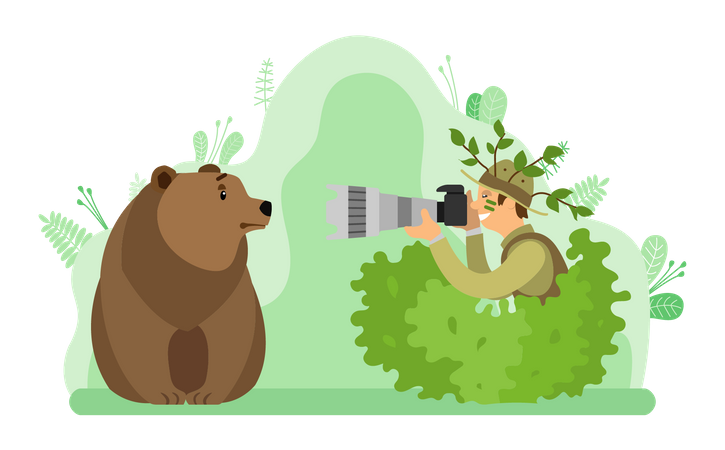 Wild life photographer clicking bear photo  Illustration