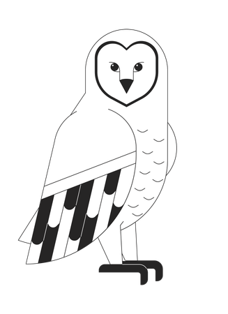 Wild owl  Illustration