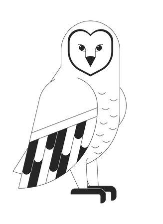 Wild owl  Illustration