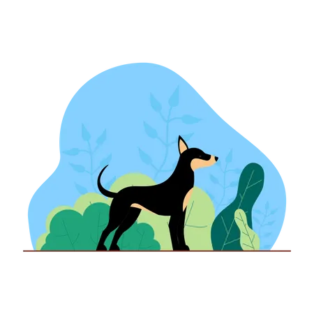 Wilder Hund  Illustration