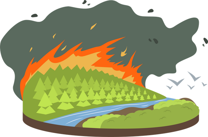 Wildfire  Illustration