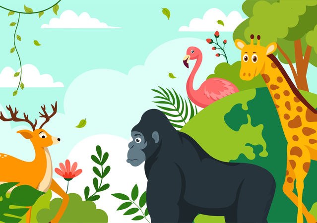 Wildlife Education  Illustration