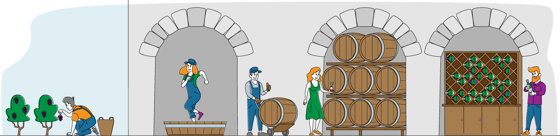 Wine Producing and Wine Drinking  Illustration