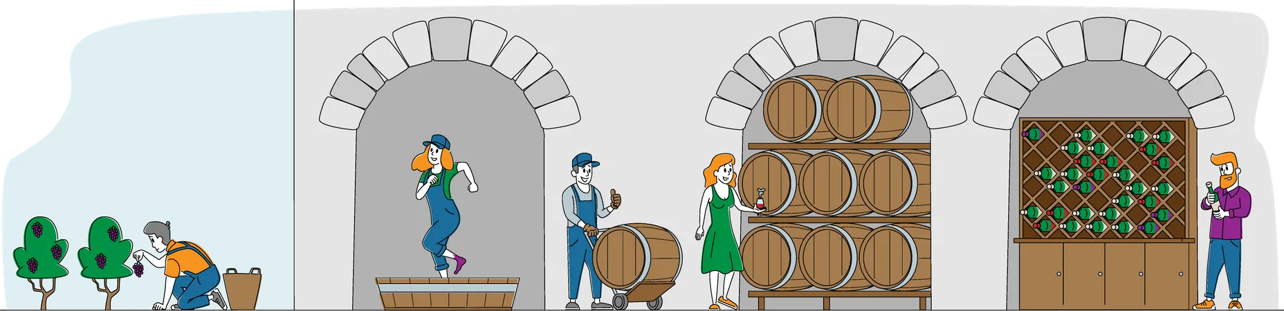 Wine Producing and Wine Drinking  Illustration