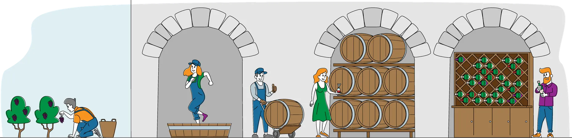Wine Producing and Wine Drinking Illustration