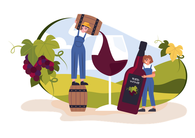 Wine production  Illustration