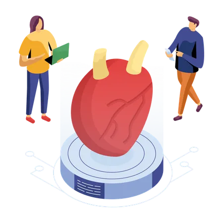 Wissenschaftler führt Experiment am Herzen durch  Illustration