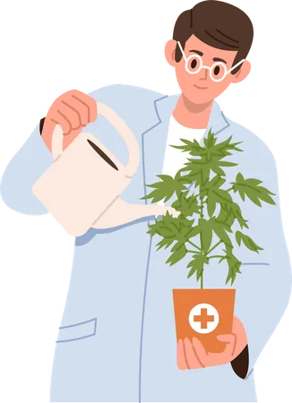 Wissenschaftler in Uniform gießen Cannabispflanze  Illustration