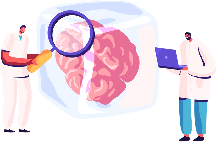 Wissenschaftler untersuchen das menschliche Gehirn  Illustration