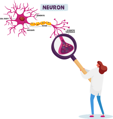 Wissenschaftlerin lernt menschliche Neuronen im wissenschaftlichen Labor  Illustration