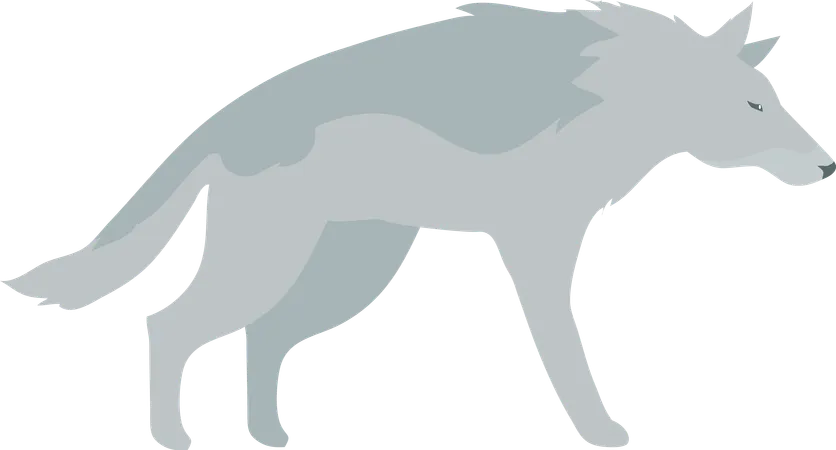 Wolf  Illustration