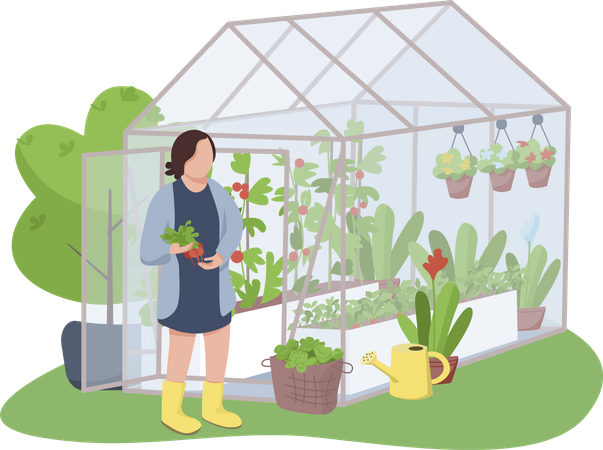 Woman and greenhouse Illustration