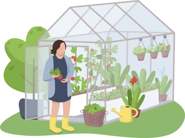 Woman and greenhouse  Illustration